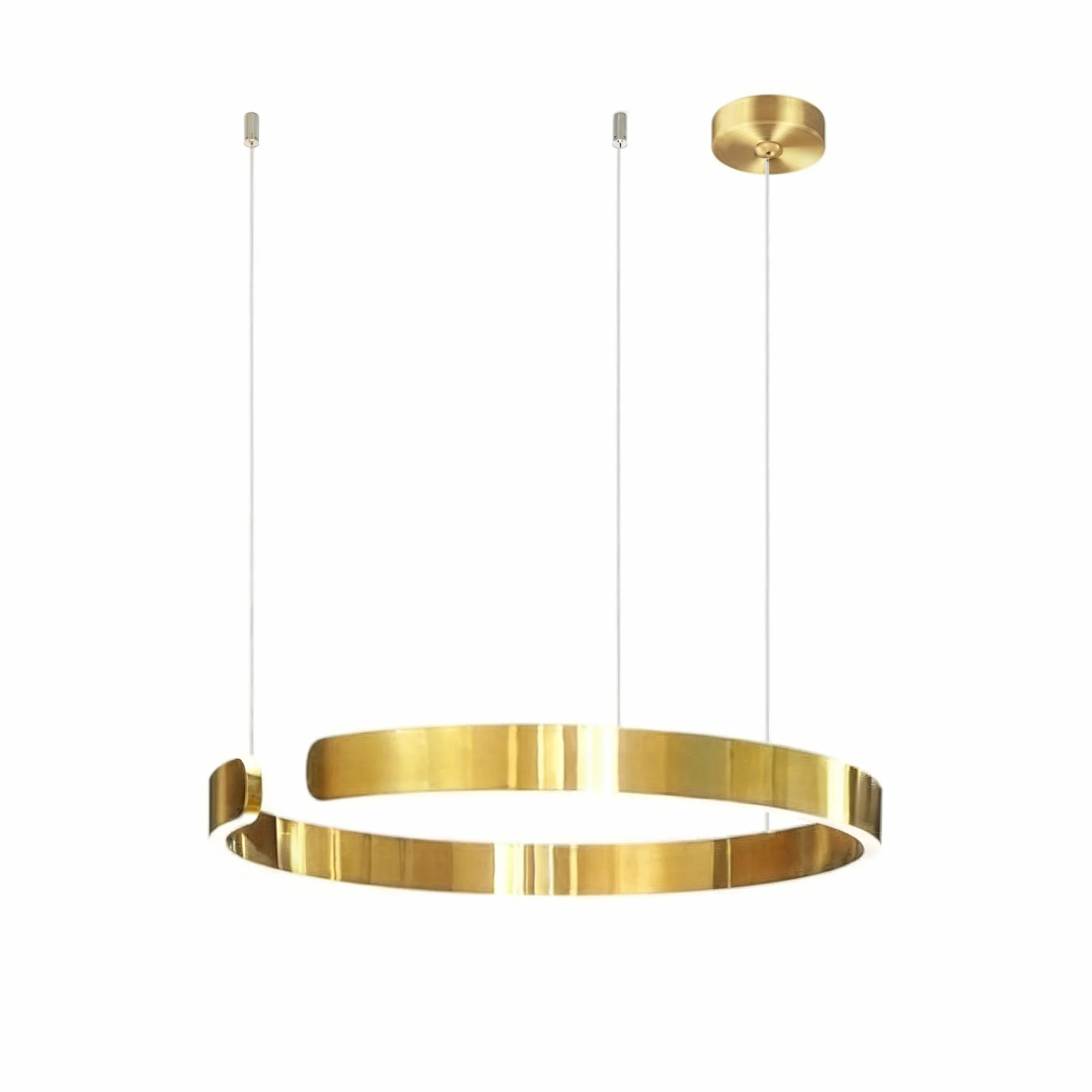 Esthetica Ring Pendant Light - Image 9